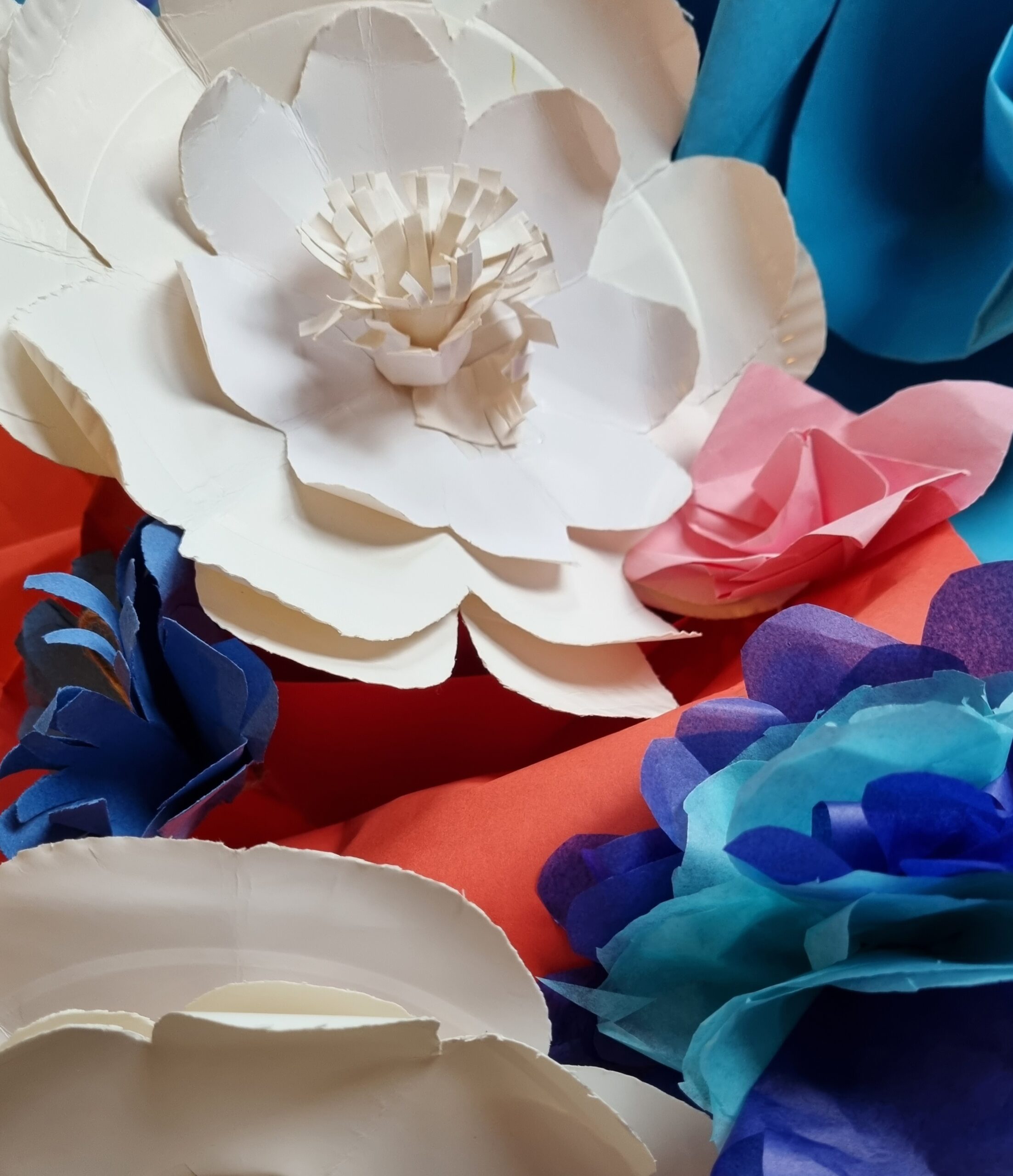 Photo of paper flowers, in red and white blue.