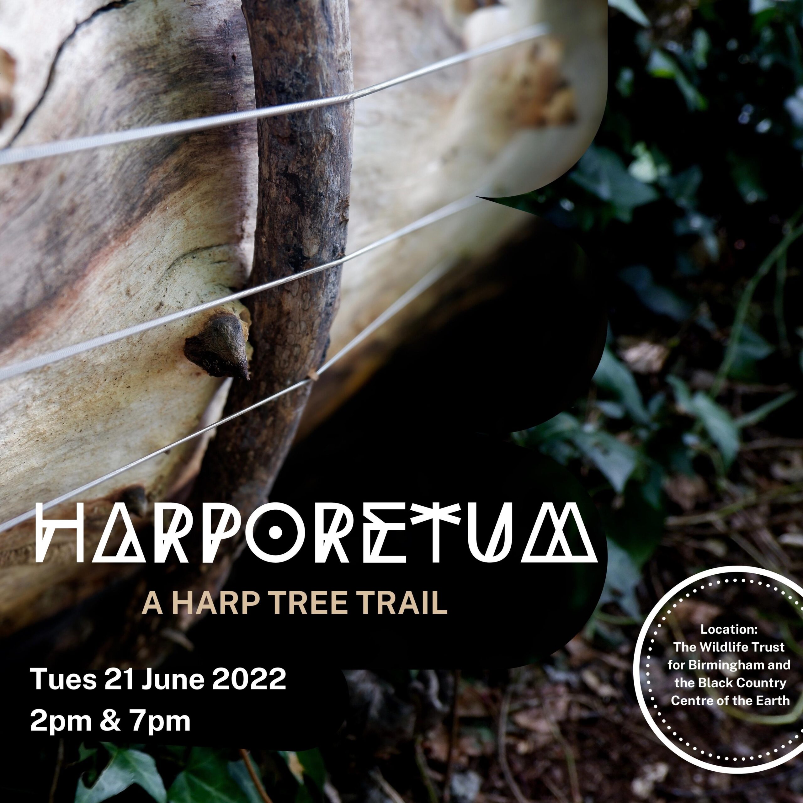 A poster with a photograph background of harp strings on a log surrounded by ivy. There is texts reading Harporetum, a harp tree trail, Tuesday 21 June 2022, 2pm and 7pm. Location: The Wildlife Trust for Birmingham and the Black Country Centre of the Earth