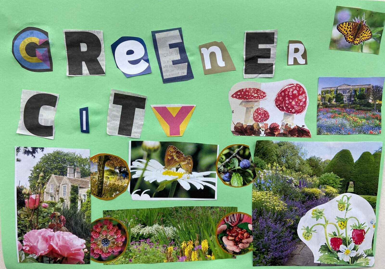 Collage of flowers, wildlife, with the words 'Greener City' featured in a bold, overlapping type.